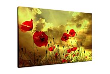 Obrazy Vlčie Maky zs6200