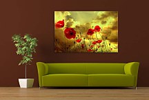 Obrazy Vlčie Maky zs6200