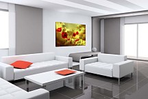 Obrazy Vlčie Maky zs6200