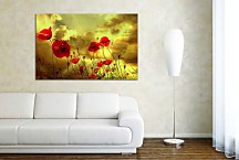 Obrazy Vlčie Maky zs6200