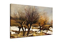 Obrazy Príroda zs24416