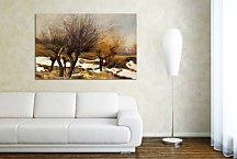 Obrazy Príroda zs24416