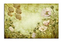 Obrazy Kvety zs6234