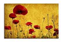 Obraz Lúka s kvetmi zs6319