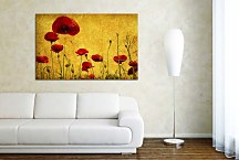 Obraz Lúka s kvetmi zs6319