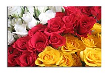 Obrazy Ruže zs4377
