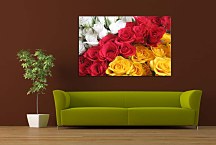Obrazy Ruže zs4377