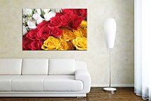 Obrazy Ruže zs4377