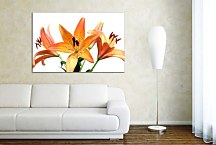 Obraz Ľalia  zs6224