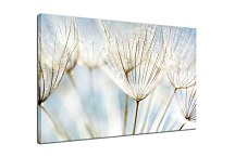 Obrazy s kvetmi zs6861