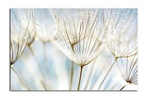 Obrazy s kvetmi zs6861