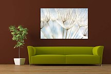 Obrazy s kvetmi zs6861