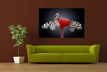 Obrazy s motýľmi zs4206