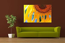 Obrazy so slnečnicou  zs6291