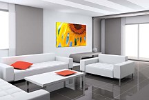 Obrazy so slnečnicou  zs6291