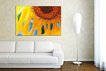 Obrazy so slnečnicou  zs6291