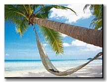Palma na pláži - Obraz CS0257