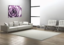 Purpurová ruža - Obraz CD0713