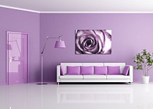 Purpurová ruža - Obraz CD0713