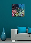 Koraly - Obraz CKS0175