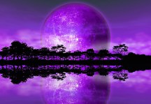 Fototapeta - Fialový mesiac FXL0712
