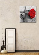 Ruža na móle - Obraz CKS0046