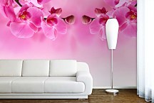 Ružová tapeta - Orchidea 267 - samolepiaca