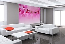 Ružová tapeta - Orchidea 267 - samolepiaca