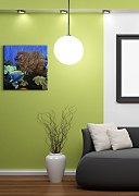 Akváriové rybičky - Obraz CKS0416