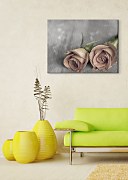 Roses BW - Obraz CS0205