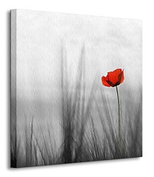 Divé maky - Obraz CKS0029