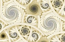 Fototapeta 3D Dimension FS0750