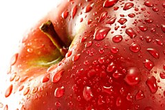 Tapeta do jedálne - Červené jablko 363 - latexová