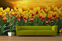 Tapety Kvety - Tulipány 98 - latexová
