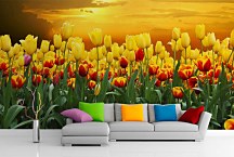 Tapety Kvety - Tulipány 98 - samolepiaca