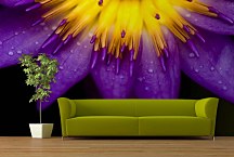 Tapety do obývačky Fialový kvet 18498 - samolepiaca