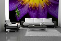 Tapety do obývačky Fialový kvet 18498 - latexová