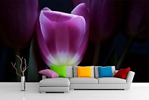 Tapety s kvetmi - Fialový tulipán 3139 - vinylová
