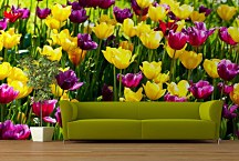 Tapety s kvetmi Tulipány 3150 - samolepiaca