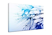 Tyrkysový obraz zs6894