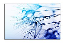 Tyrkysový obraz zs6894