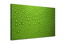 Zelený obraz na stenu zs4613