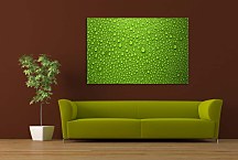 Zelený obraz na stenu zs4613