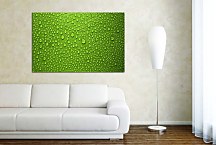 Zelený obraz na stenu zs4613