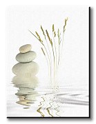 Interier zen - Obraz CD0509