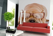 Zvieracie fototapety - Pes s okuliarmi 120 - vinylová