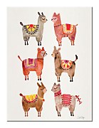 Alpacas - Obraz WDC92749
