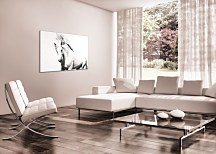 Arabský kôň - Obraz CD0701