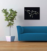 Blossom, Butterflies - Obraz WDC44729