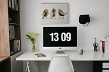 Finches - Obraz WDC92753